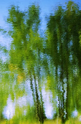 02Willow_2415  8bit