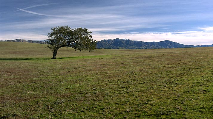 63_CA_03_DSC_6325